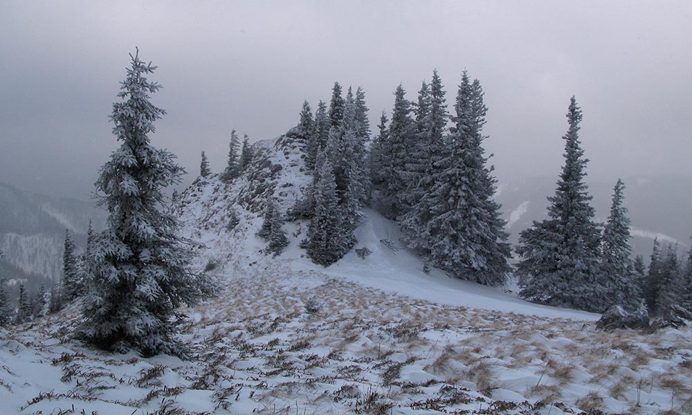 obersberg